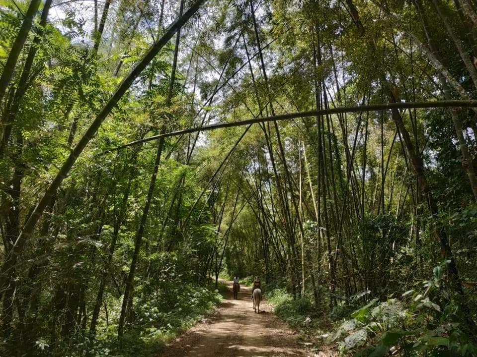 Hotel Sumpa Montañita المظهر الخارجي الصورة